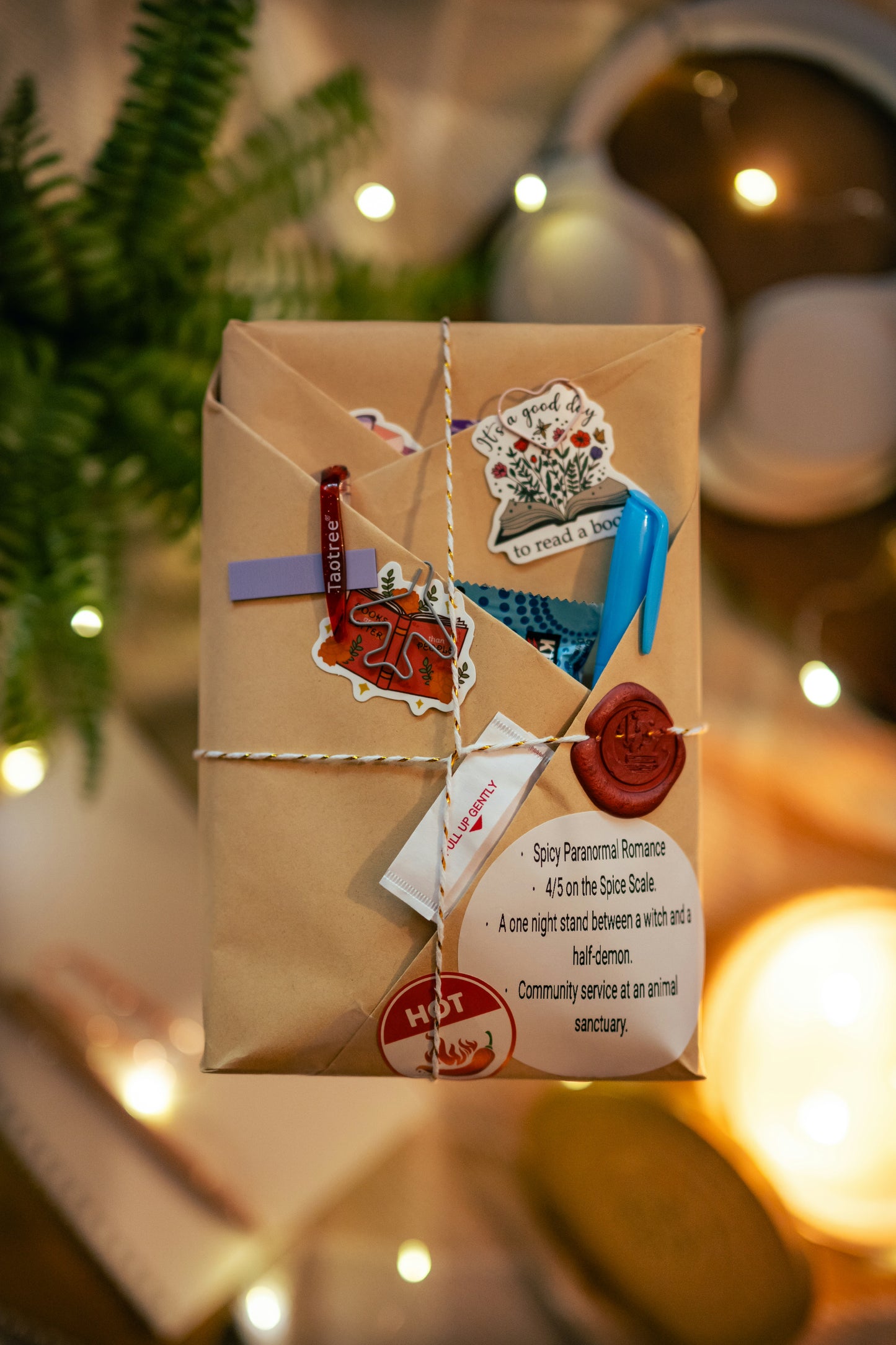Blind Date With A Book - Spicy Paranormal Romance
