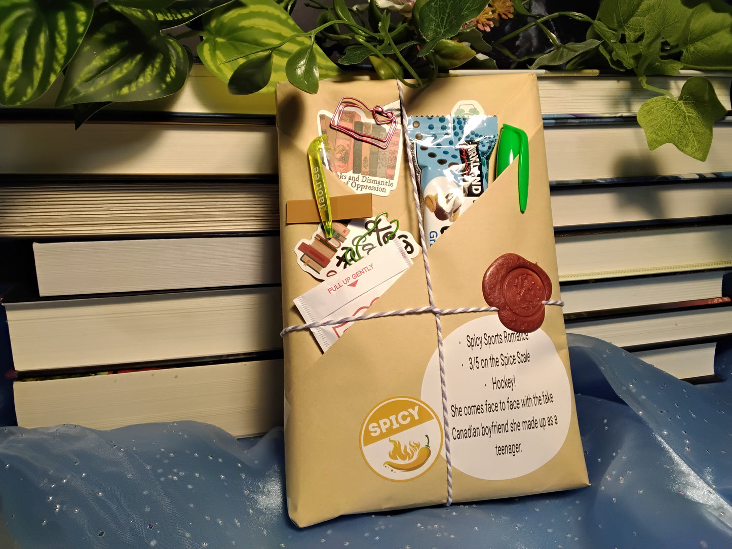 Blind Date With A Book - Spicy Sports Romance