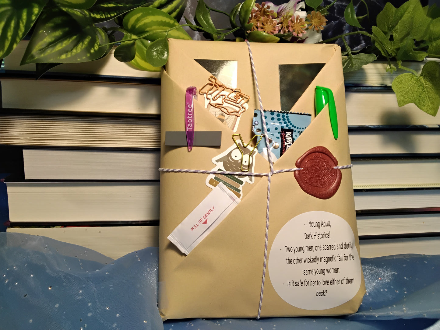 Blind Date With A Book - Young Adult, Dark Historical