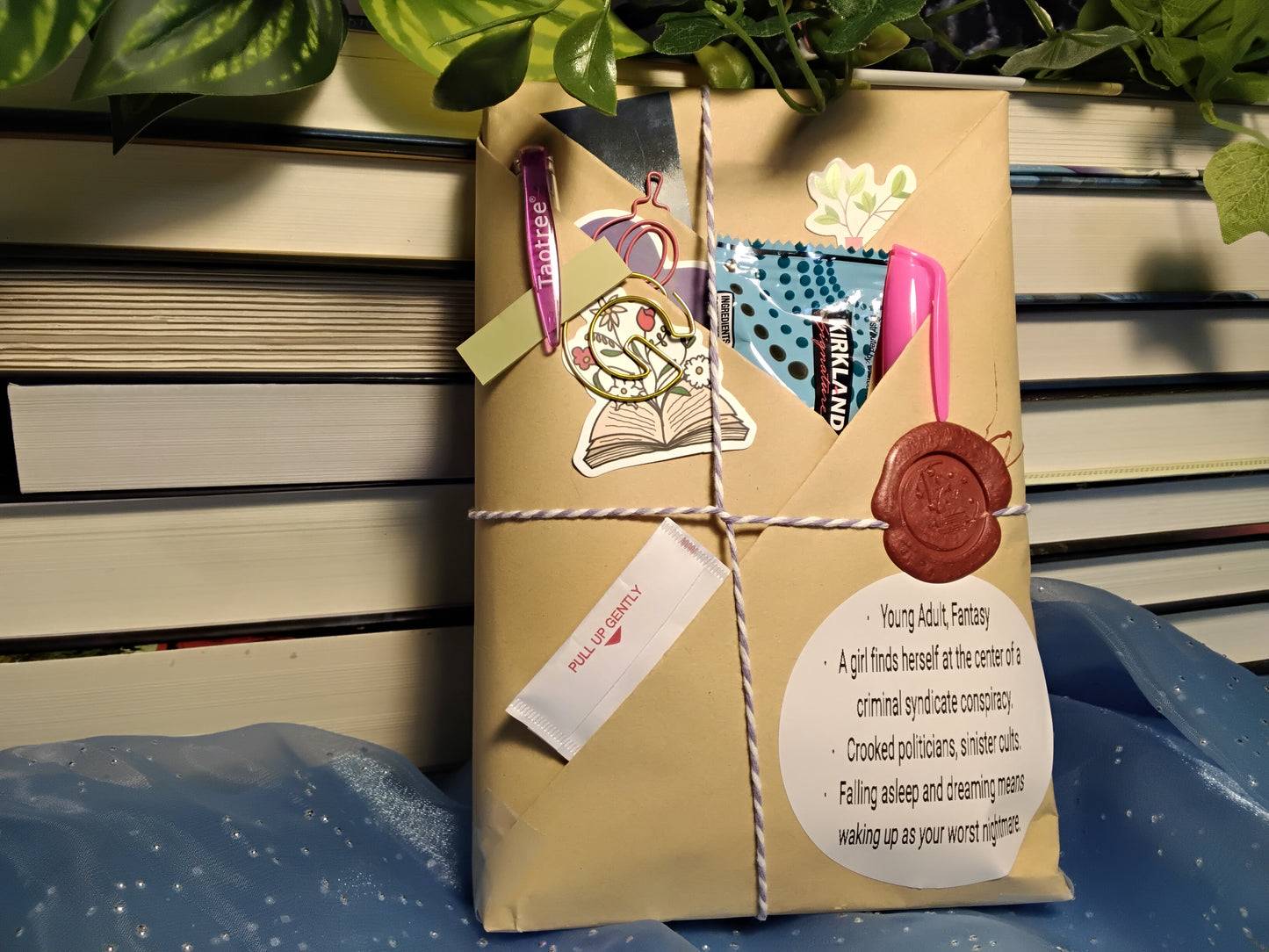 Blind Date With A Book - Young Adult, Fantasy