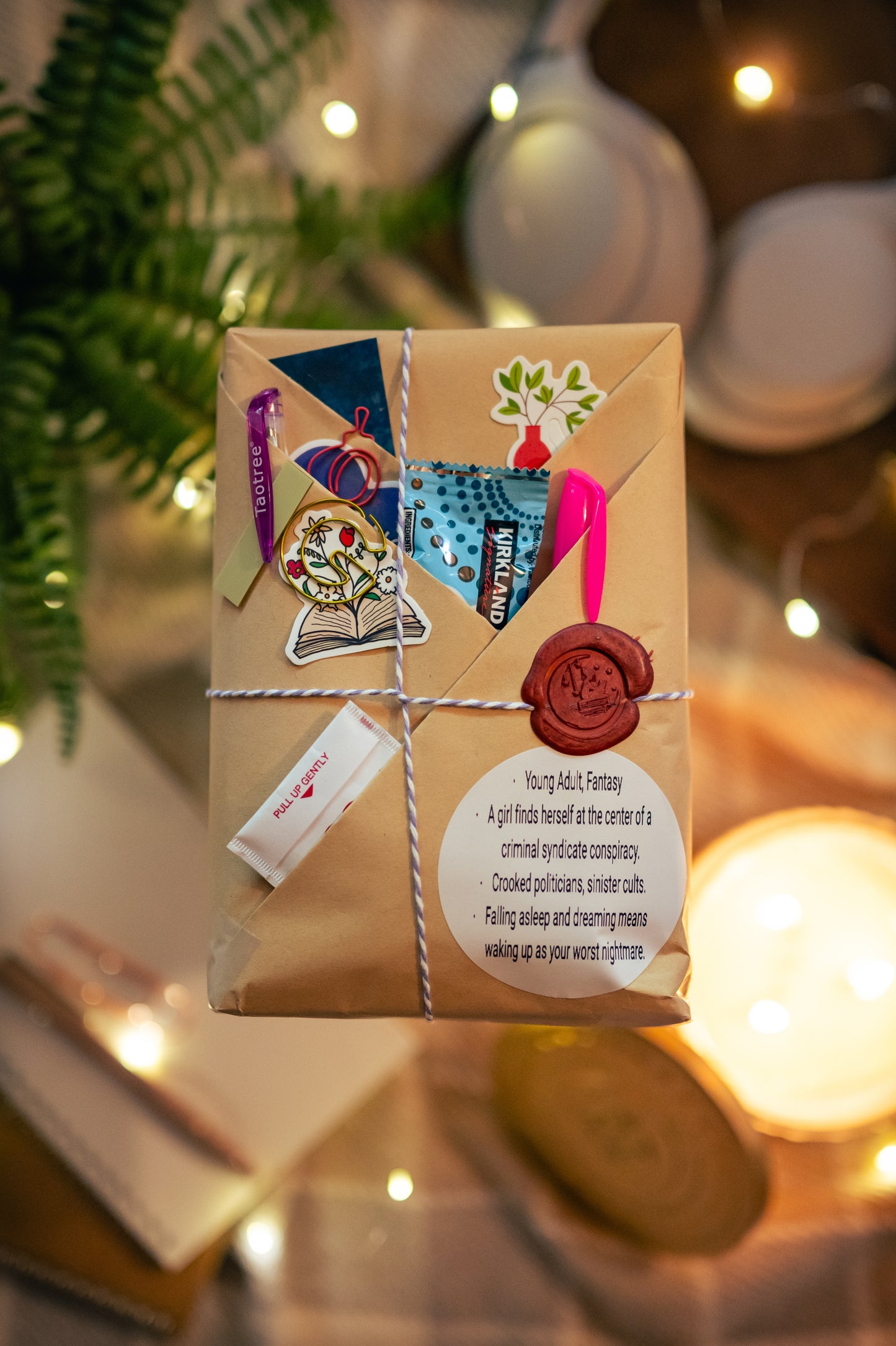Blind Date With A Book - Young Adult, Fantasy