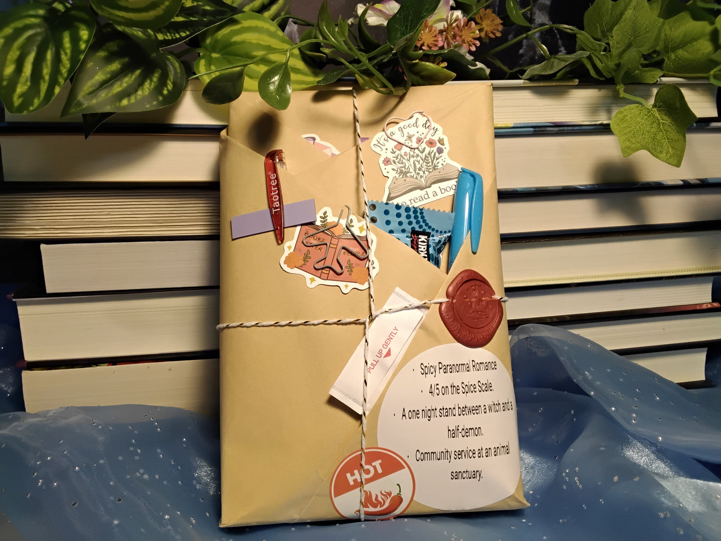 Blind Date With A Book - Spicy Paranormal Romance